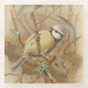 Vintage illustratie van pimpelmees glazen onderzetter