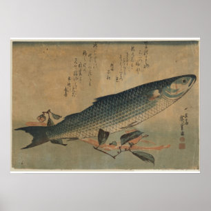 Vintage Image van Japanse Striped Mullet - Canvas Poster