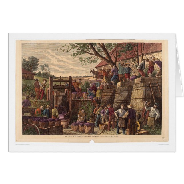 Vintage in Californië (0604A) (Voorkant Horizontaal)