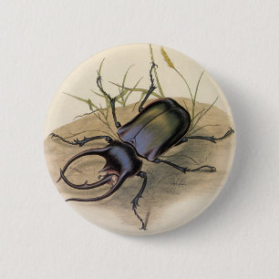 Vintage Insects en Bugs, Rhino Rhinoceros Beetle Ronde Button 5,7 Cm