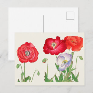 Vintage Japanse Klaproos Botanische Kunst 1917 Briefkaart
