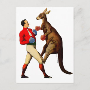 Vintage Kangaroo Boxer Boxer Sport Briefkaart