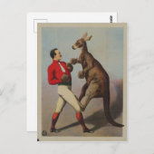 Vintage Kangaroo Boxing Sideshow Briefkaart (Voorkant / Achterkant)