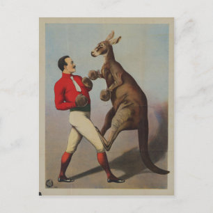 Vintage Kangaroo Boxing Sideshow Briefkaart