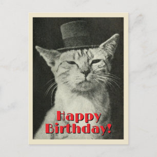 Vintage kat in hoed Verjaardag Briefkaart
