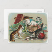 Vintage katten Briefkaart (Voorkant / Achterkant)