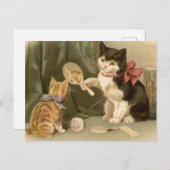 Vintage katten Briefkaart (Voorkant / Achterkant)