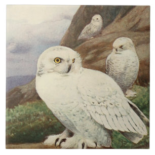 Vintage keramische tegels voor uil tegeltje