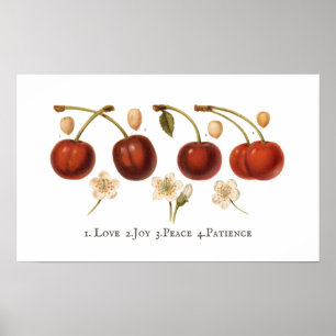 Vintage kersen Koolvruchtenkern Antiek Poster