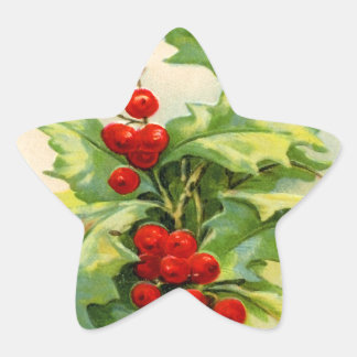 Vintage Kerst Holly Star Stickers