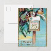 Vintage Kerst Vakantie vogels briefkaart (Voorkant / Achterkant)
