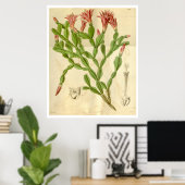 Vintage-kerstcactus Poster (Thuiskantoor)