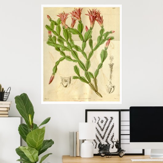 Vintage-kerstcactus Poster (Thuiskantoor)