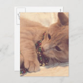 Vintage-kerstKat Feestdagenkaart (Voorkant / Achterkant)