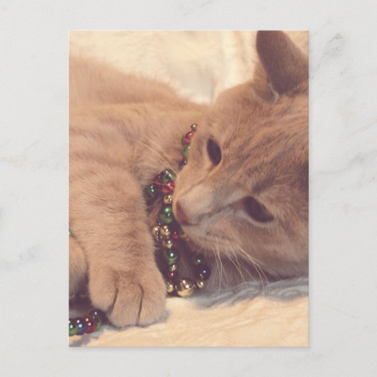 Vintage-kerstKat Feestdagenkaart (Voorkant)