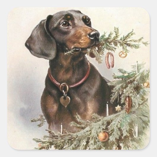 Vintage Kerstmis Dachshund Dog Vierkante Sticker (Voorkant)