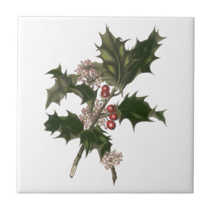 Vintage Kerstmis, Green Holly Plant met Berries Tegeltje