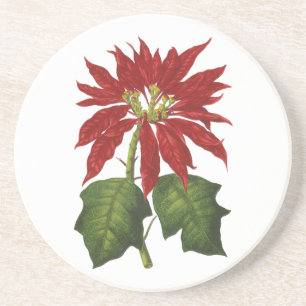 Vintage Kerstmis, Red Poinsettia Winter Plant Zandsteen Onderzetter