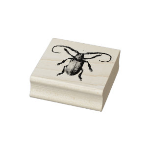 Vintage keverillustratie rubberstempel