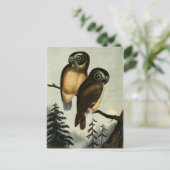 Vintage Kirtlands Owl Briefkaart (Staand voorkant)