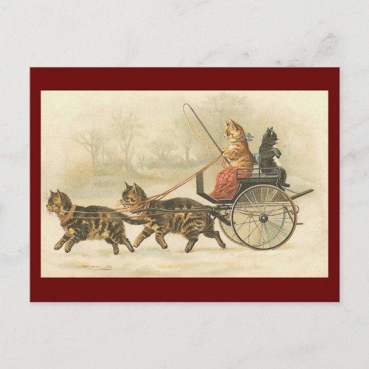 Vintage kitten coach briefkaart (Voorkant)