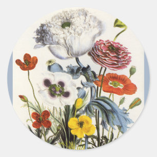 Vintage klaprozen in de tuin, Victoriaanse bloemen Ronde Sticker