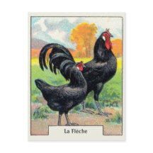Vintage La Fleche Chicken
