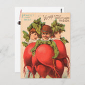 VINTAGE : landbouw adverteren - Briefkaart (Voorkant / Achterkant)