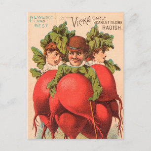 Vintage : landbouw adverteren - briefkaart