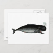 Vintage Laughing Whale Briefkaart (Voorkant / Achterkant)