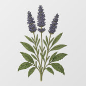 Vintage Lavender Raamsticker (Vel)
