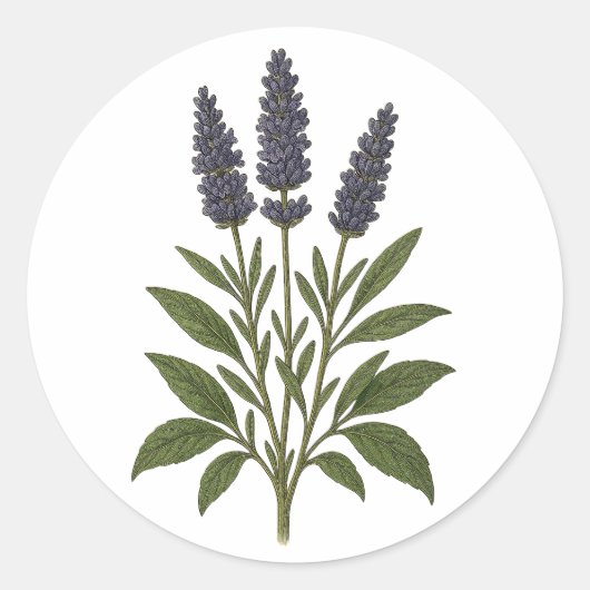 Vintage Lavender Sticker - round (Voorkant)