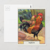 Vintage Leghorn Kip Briefkaart (Voorkant / Achterkant)