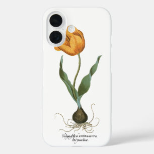 Vintage Lente Gele Tulp Bloem van Besler iPhone 16 Hoesje