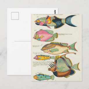 Vintage levendig Oost-Indisch zeeleven wandkunst Briefkaart
