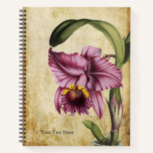 Vintage Levendige Cattleya labiata Orchidee Notitieboek