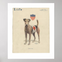 Vintage Life Magazine Cover Poster May, 1917