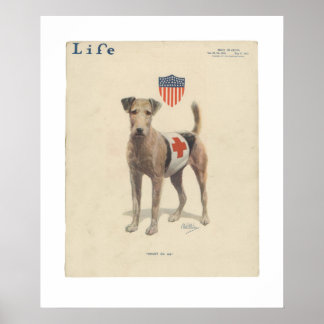 Vintage Life Magazine Hoesje Poster mei 1917