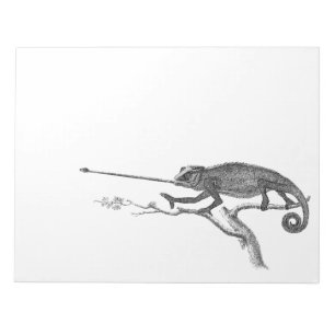 Vintage Lizard Chameleon Illustration Sjabloon Notitieblok