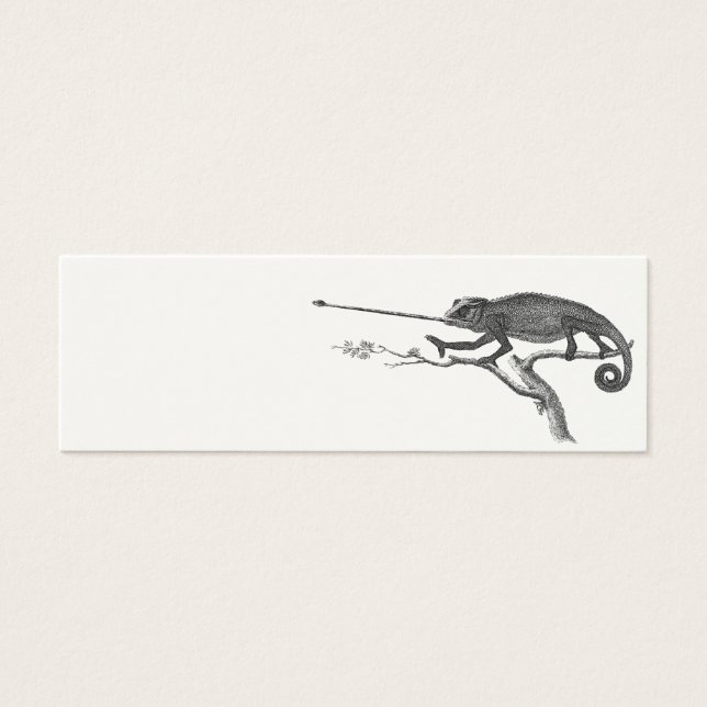 Vintage Lizard Chameleon Modèle d'illustration (Devant)