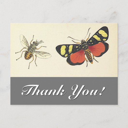 Vintage Look Insectes "Merci !" Carte postale (Devant)