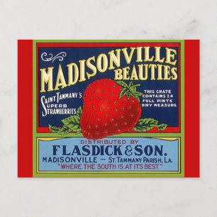 Vintage Madisonville LA Strawberry Crate Briefkaar Briefkaart