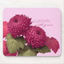 Vintage Magenta Chrysanthemum Botanisch