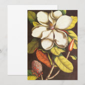 Vintage Magnolia Flowers Plant met zaad (Voorkant / Achterkant)