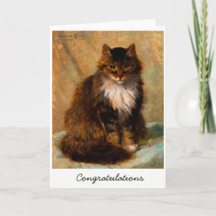 Vintage Maine Coon Kat Congratulaties          Kaart