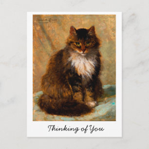 Vintage Maine Coon Kat Kunst Denk Aan Jou Briefkaart
