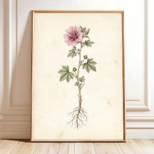 Vintage Mallow Botanische Galerij Muur Kunstprint Poster