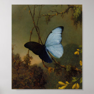 Vintage Martin Johnson Heade Blue Morpho Butterfly Poster