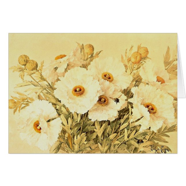 Vintage Matilija Poppies (Devant horizontal)