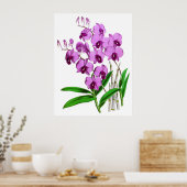 Vintage Mauve Paars Agenta Orchid Flower Poster (Keuken)